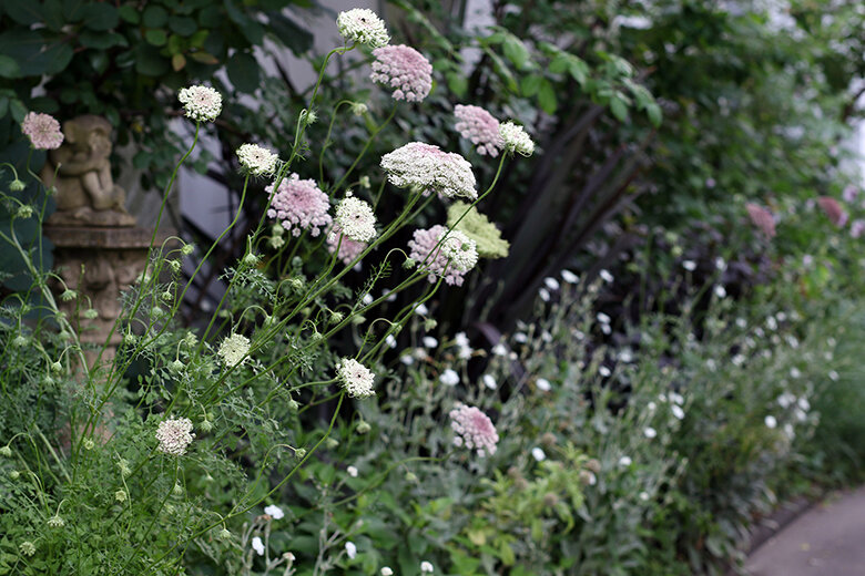 GARDENERS GARDEN事業 錦工業株式会社の事業内容4/GARDENERS GARDEN事業